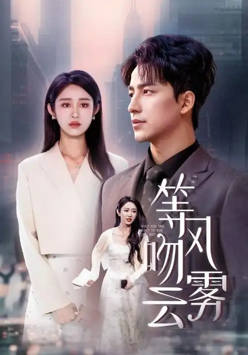 西瓜电影 悬疑剧《雾港长夜》第二季海报